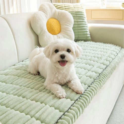 Pawbaby Couch Cover (Official Retailer) [year]