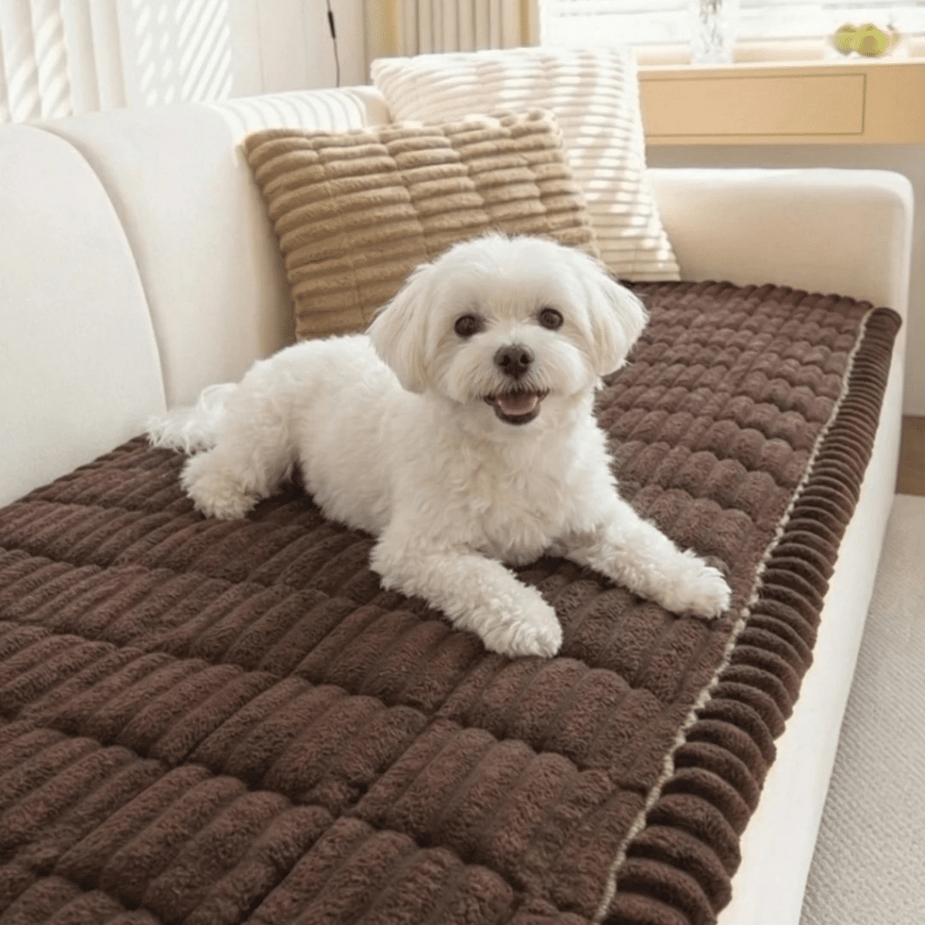 Pawbaby Couch Cover (Official Retailer) [year]