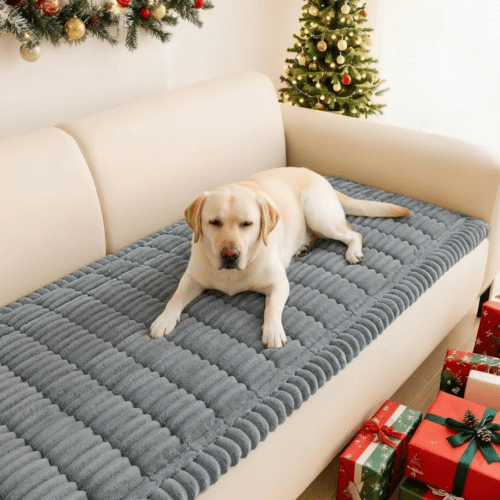 Pawbaby Couch Cover (Official Retailer) [year]
